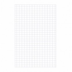 REJA METÁLICA BLANCA 180 X...