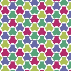 BOBINA PAPEL REGALO 31CM / 62CM