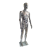 MANIQUÍ HOMBRE PLATA