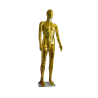 MANIQUÍ HOMBRE ORO
